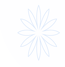 FB体育·中国官方网站-FB SPORTS