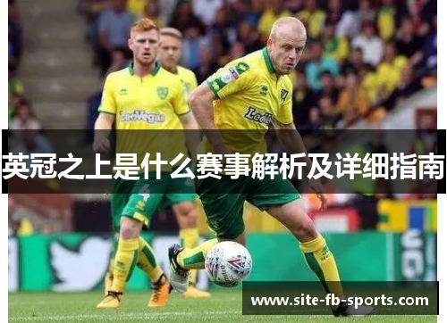 英冠之上是什么赛事解析及详细指南 英冠之上是什么赛事解析及详细指南