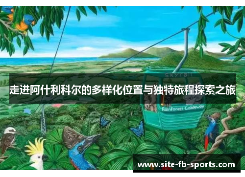 走进阿什利科尔的多样化位置与独特旅程探索之旅