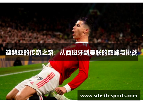 迪赫亚的传奇之路：从西班牙到曼联的巅峰与挑战